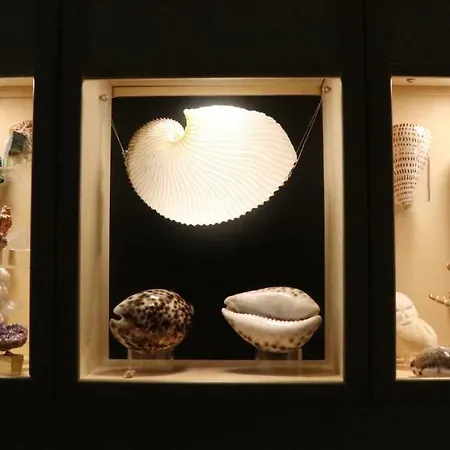 Apartment Poliziano Rom