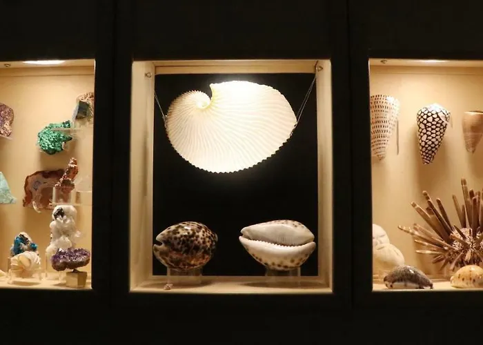 Apartment Poliziano Rome